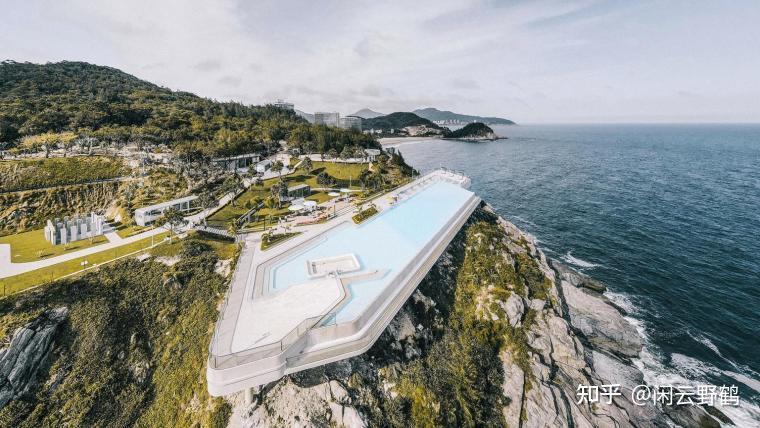 全球首次!江西阳际峰发现植物新种