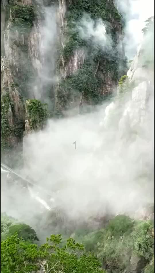 春雨直播app